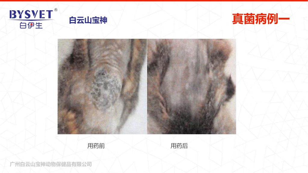 六台盒宝典资料大全