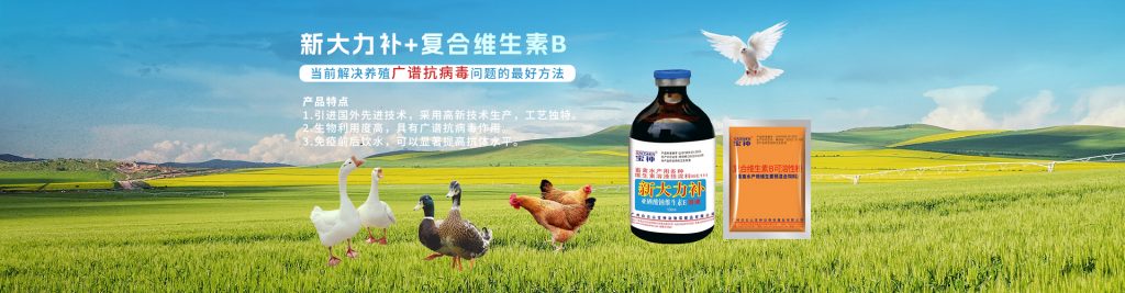 六台盒宝典资料大全