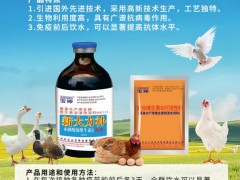 六台盒宝典资料大全